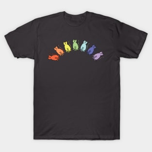 Pale Cats Rainbow T-Shirt